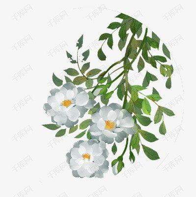 垫江哪里有看小区的风水师傅
