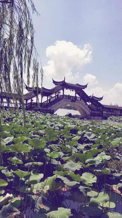 开州专业的易学风水大师哪个预测厉害