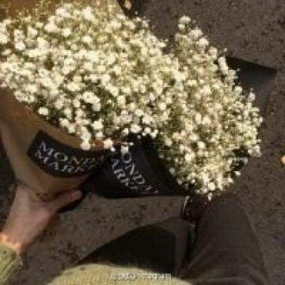秀山算命大师哪个算命最厉害