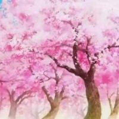 沙坪坝哪个易经风水大师看服装店风水看得更准