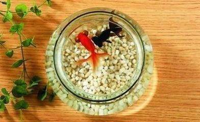 渝中看店铺风水哪个易学风水大师最好