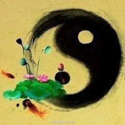 12生肖恋爱手册--虎