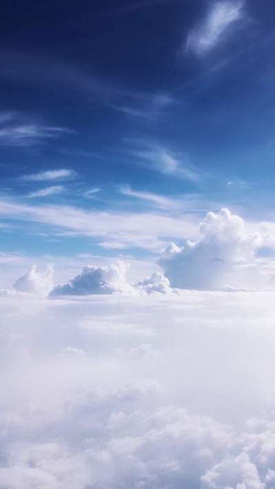中西式结合装修_丽景雅苑