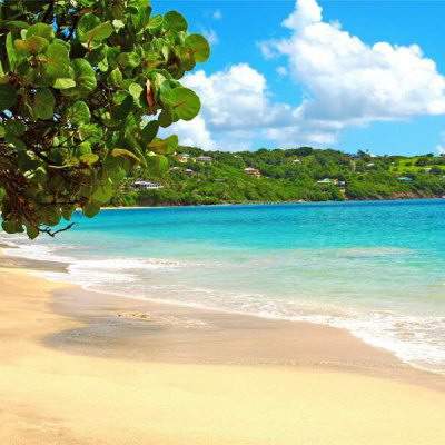 鼻头大的女人能旺夫吗