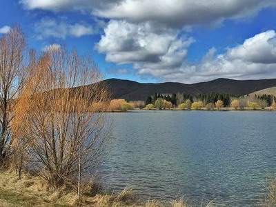 鱼缸养鱼忌讳_融景城郦苑 鱼缸养鱼忌讳_融景城郦苑