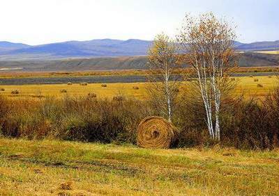 绵阳風水看别墅風水费用(風水师陈帝武)