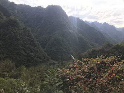 沙坪坝哪个易学風水大師看自建房風水出名