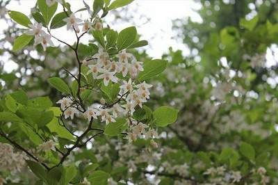 绵阳算命大师算居家风水价格标准