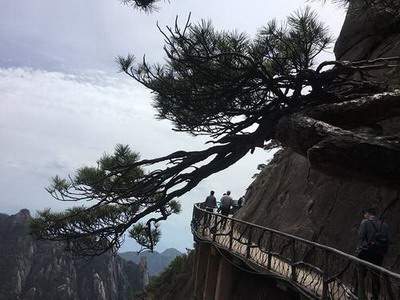 内江请风水老师看财运风水收费服务标准