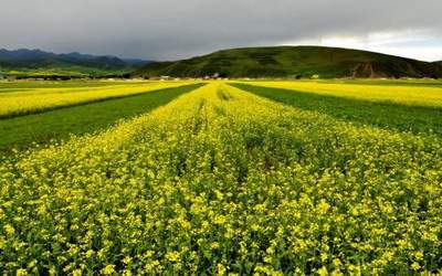 成都哪个风水大师看建房子风水好《预测师陆叁荷·淼淼》