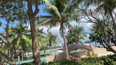 自贡哪里有看婚房的風水师傅-陈柒悦