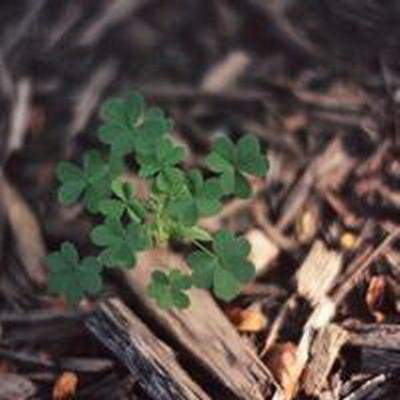 买房选址哪些楼盘风水不能买