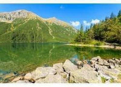 成都看坟地風水哪个風水师傅最有名