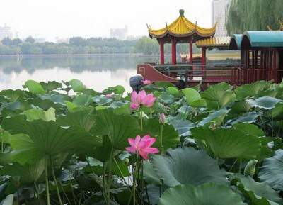 上海闸北区算命