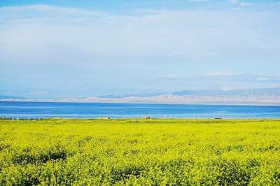 哪个阳宅风水大师看咖啡厅风水口碑更好《预测师陈叁悟》