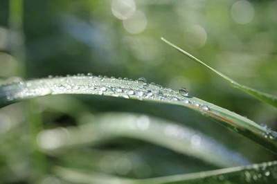 城口请風水老师算化解太岁收费服务标准