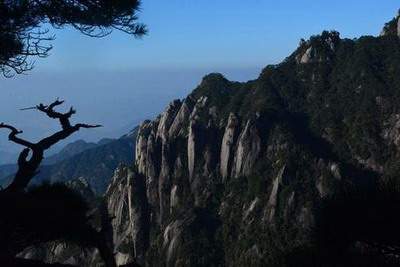 宜宾好的八字命理大師哪个最有名（風水师陈柒悦）