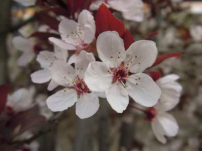 攀枝花哪里可以请到看农村别墅的風水先生_命理师陈柒悦