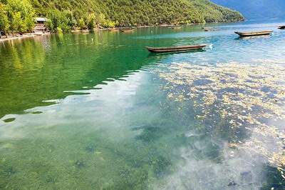 八月份婚姻状态的生肖