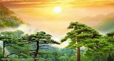 成都哪个風水看老宅風水出名-陈叁悟