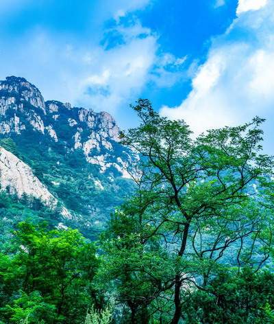 乐山好点的風水老师哪个看得好《預測师陆淼淼（叁荷）》