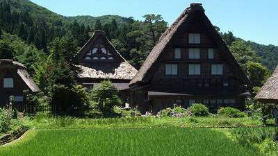 破坏坟墓好風水的两大祸首