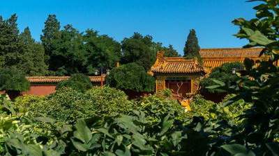 出名的周易风水师哪个出名[乾缘堂穆六垚风水老师]