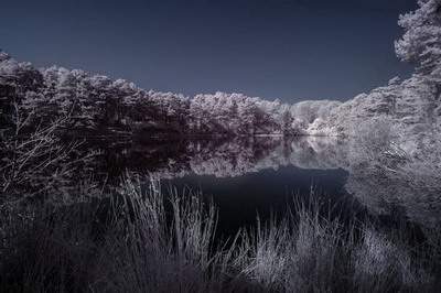 灵验的风水预测大师哪个最好-重庆乾缘堂