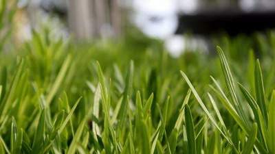 支招：如何防范办公室“滥桃花”