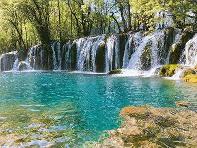 绵阳哪个易学风水大师看中餐厅风水有名