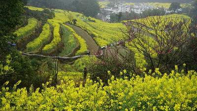 2021年属马的健康运势解读