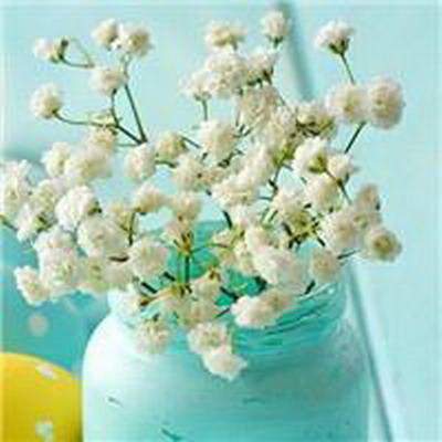 不能用心学习十大书房风水禁忌