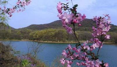 南岸区南坪镇哪个風水师傅看门面風水口碑好