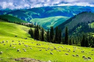 大竹林哪个风水命理大师看家里风水好_乾缘堂陆叁荷·淼淼