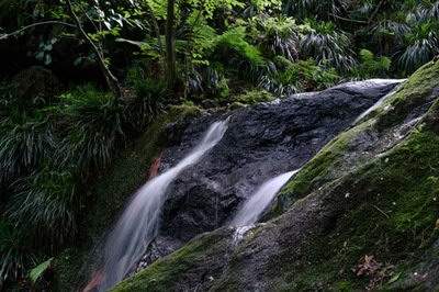 江津哪个易学風水师看建筑風水口碑