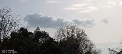 2021年属鸡的事业运势分析