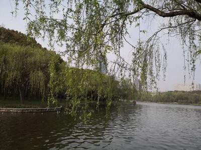 阴阳五行与企业的管理