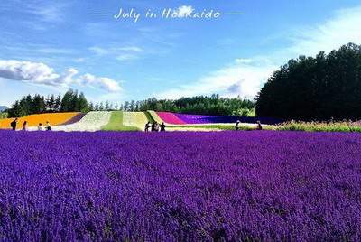 2021年猴宝宝是什么命