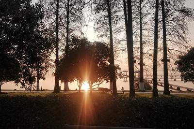 八字今日运势测算