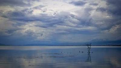 辨别出轨的女人面相