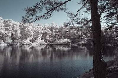内江哪里找得到看坟墓的风水老师（风水师陈叁悟）