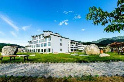 客厅进门放什么植物好_天地源水墨江山