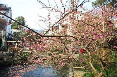 李居明办公室風水解说