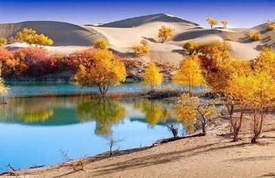 2021年家居风水禁忌