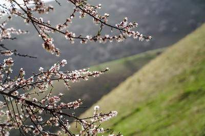 垫江请风水大师看职场风水价格标准