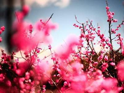 成都易经風水大師哪个厉害