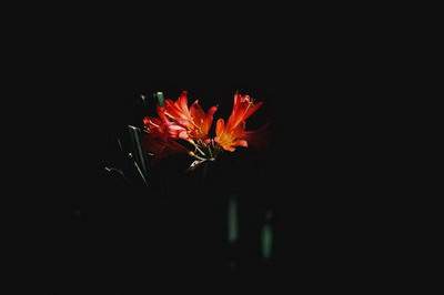 出名堪舆大師哪个-乾缘堂