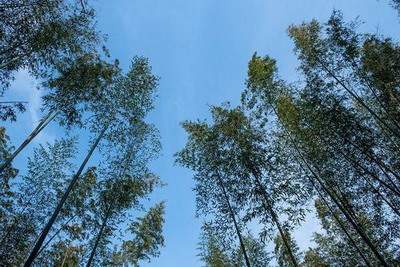 巴中算命师傅看建房風水收费标准多少钱