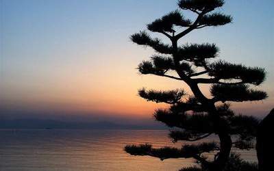 广元比较有名的風水师谁