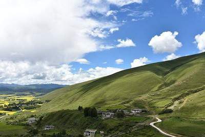 冰箱旁边适合放什么植物好_龙景花园